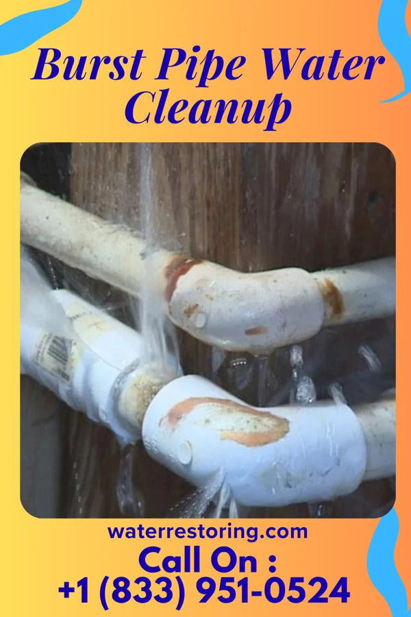 Burst Pipe Water Cleanup in Weldon Spring, MO