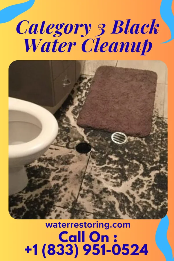 Category 3 Black Water Cleanup in Weldon Spring, MO