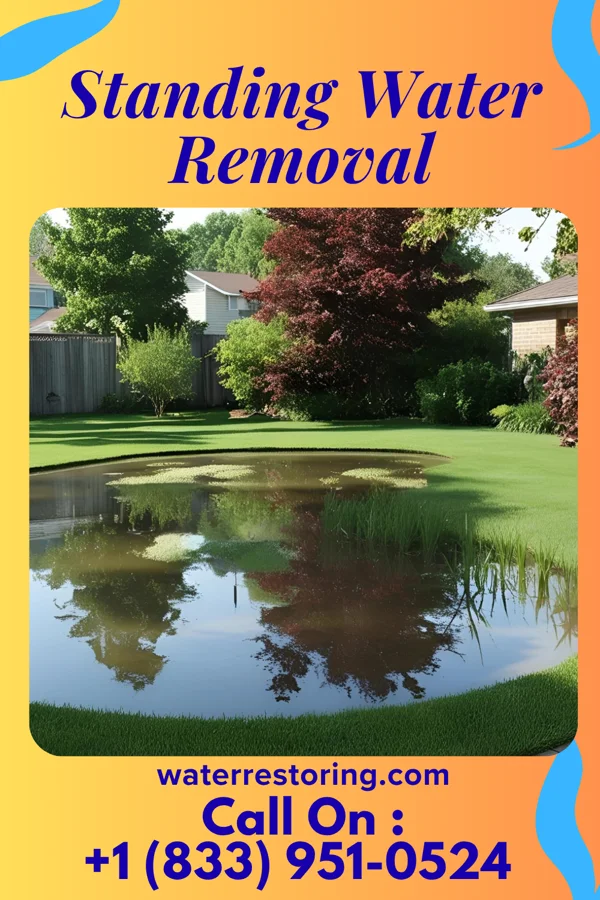 Standing Water Removal in Weldon Spring, MO